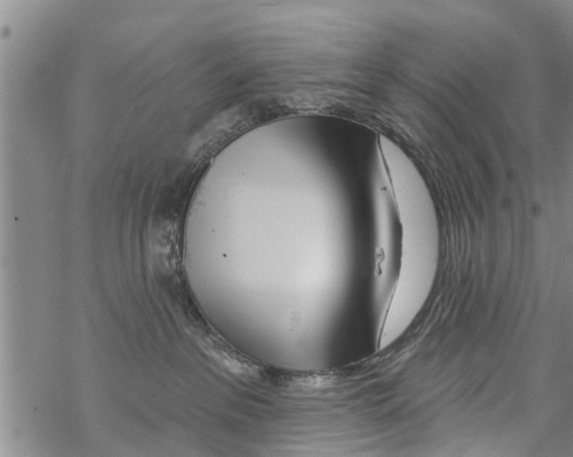 X0000068770237200605262214