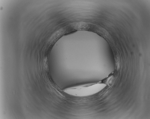 X0000068770239200605262214