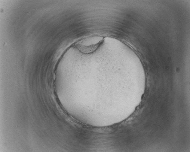 X0000068770241200605262213