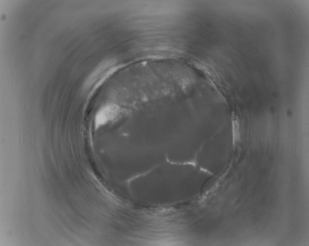 X0000068770243200605262213