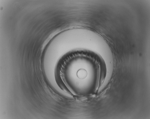 X0000068770244200605262213