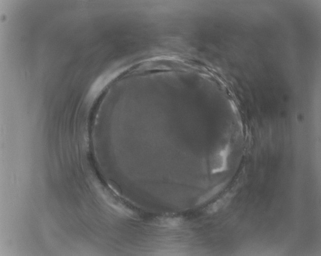 X0000068770247200605262213