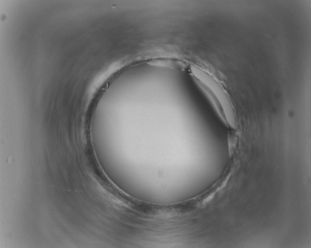 X0000068770248200605262213