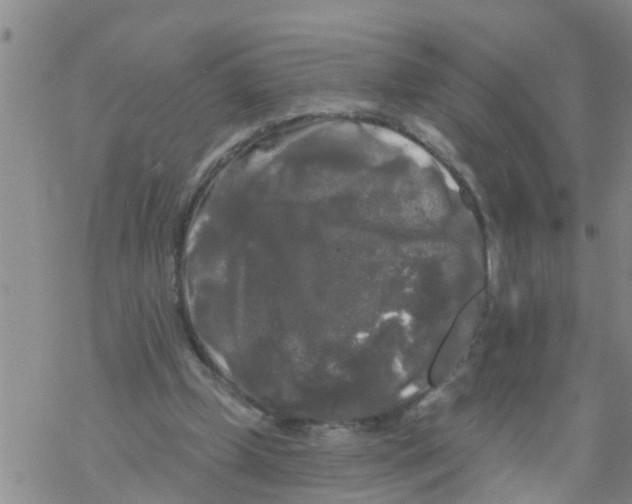 X0000068770249200605262213