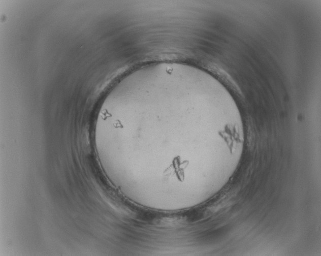 X0000068770251200605262213