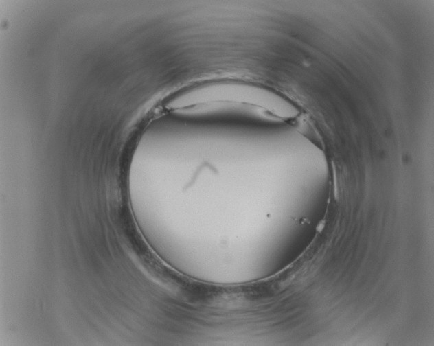 X0000068770252200605262213