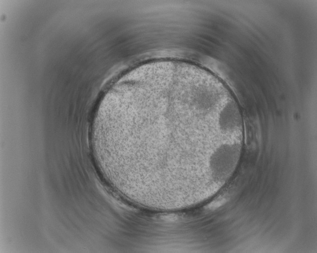 X0000068770253200605262213