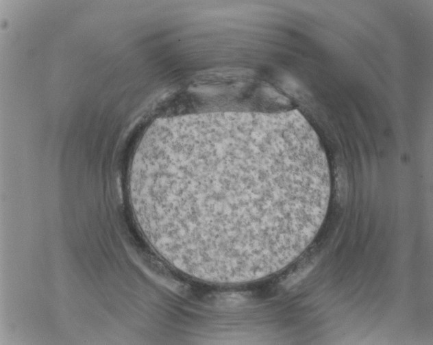 X0000068770254200605262213