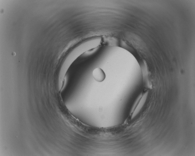 X0000068770256200605262213