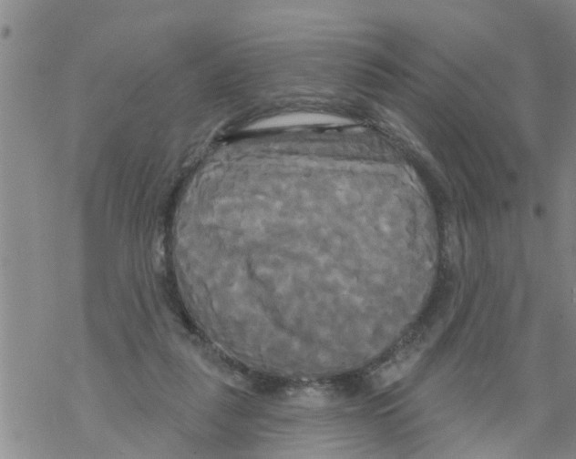 X0000068770259200605262213