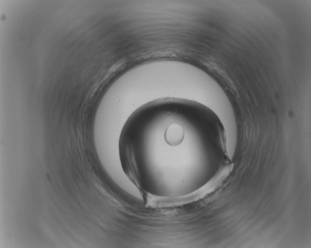 X0000068770260200605262213