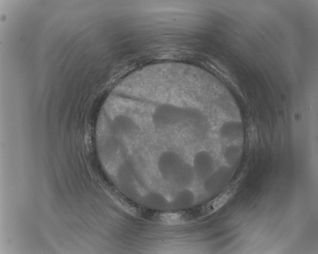 X0000068770265200605262213