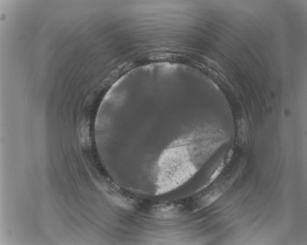 X0000068770267200605262213