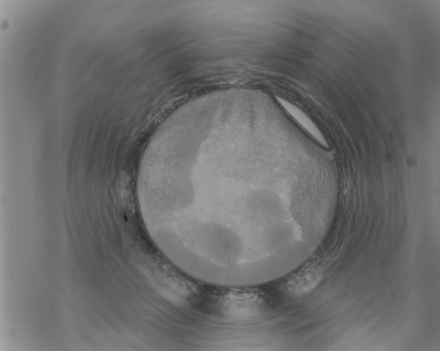 X0000068770270200605262213