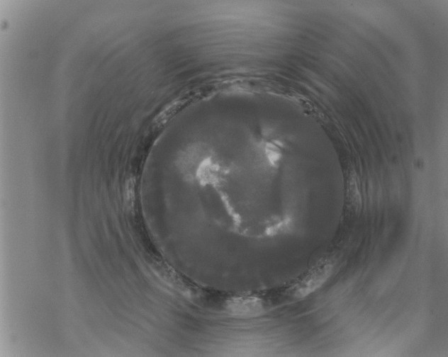 X0000068770271200605262213