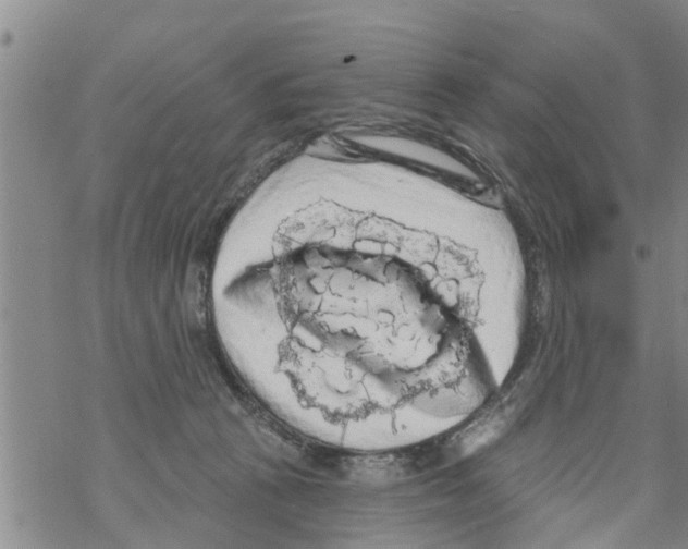 X0000068770273200605262213