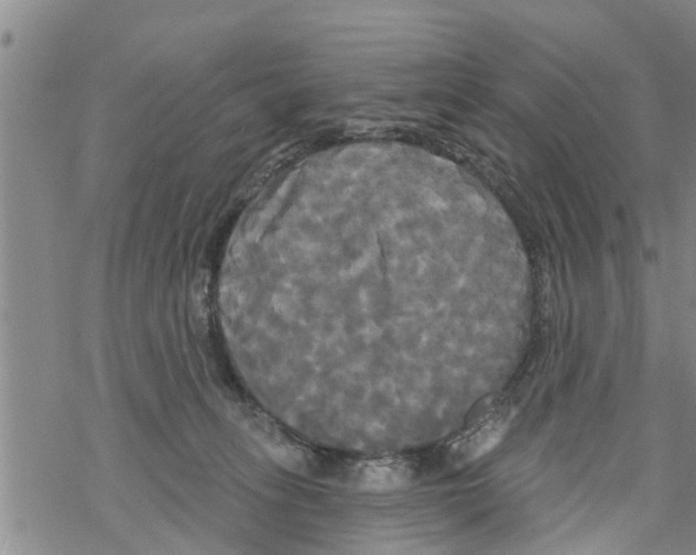 X0000068770275200605262213