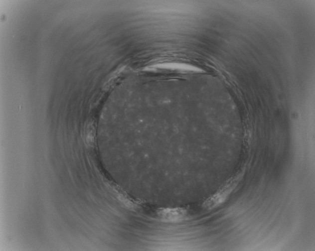 X0000068770277200605262214