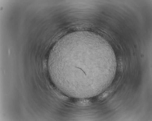 X0000068770278200605262214