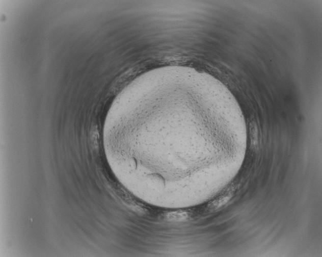 X0000068770279200605262214