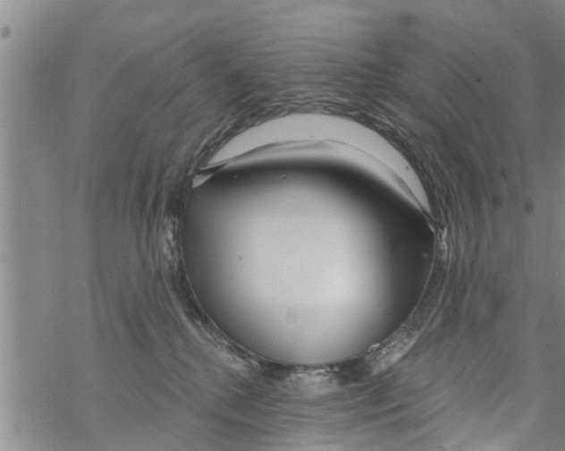 X0000068770280200605262214