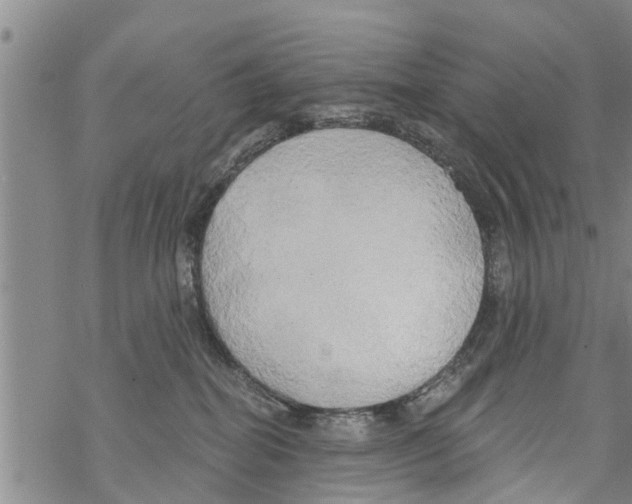 X0000068770282200605262214