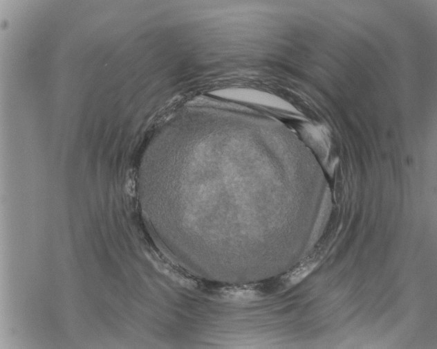 X0000068770284200605262214