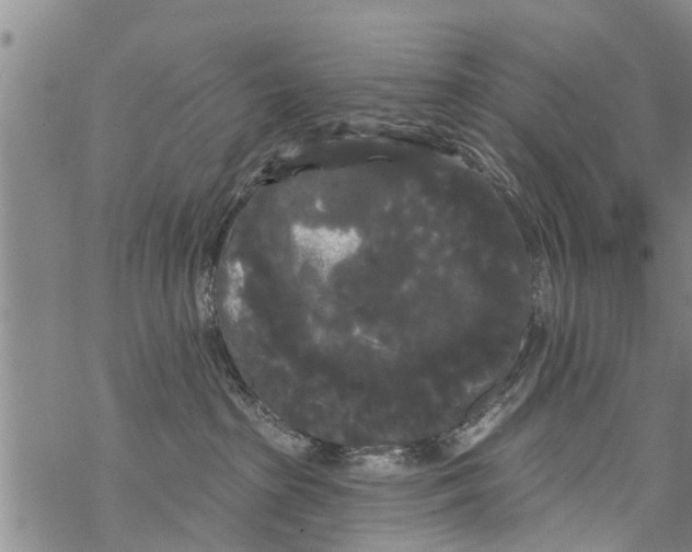 X0000068770285200605262214