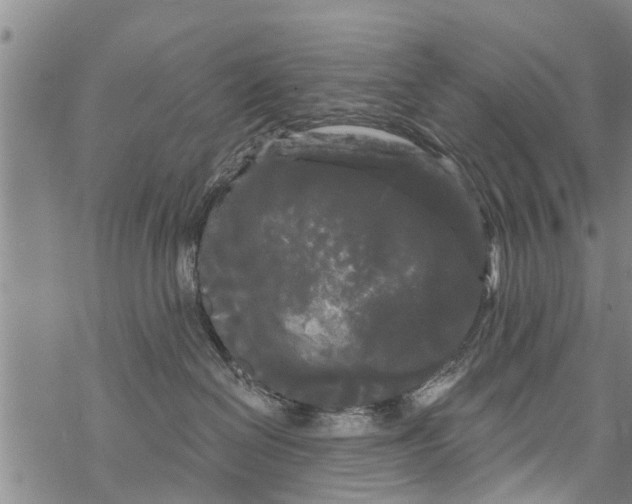 X0000068770286200605262214