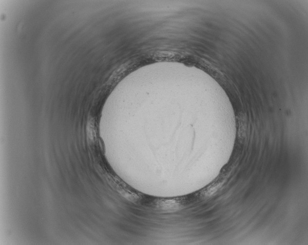 X0000068770287200605262214