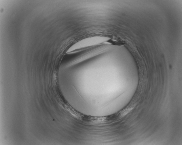 X0000068770288200605262214