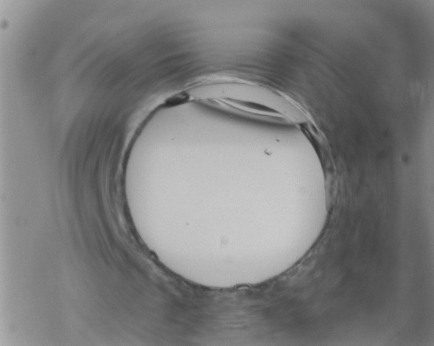 X0000068770289200605262213