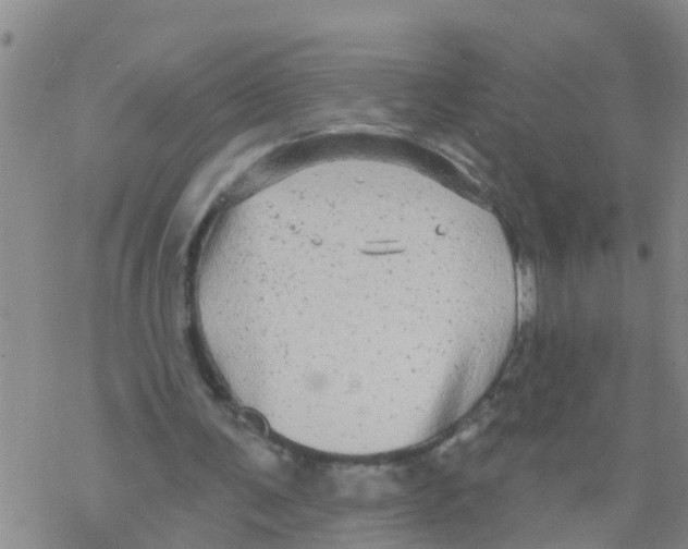 X0000068770291200605262213