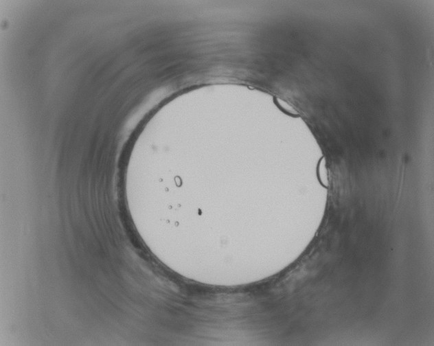 X0000068770292200605262213