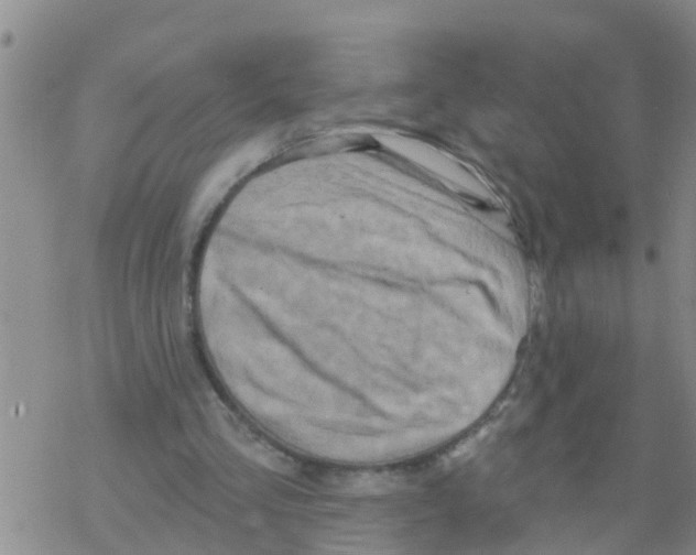 X0000068770293200605262213