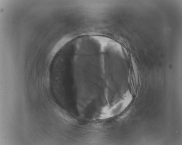 X0000068770295200605262213