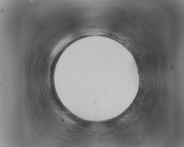 X0000068770296200605262213