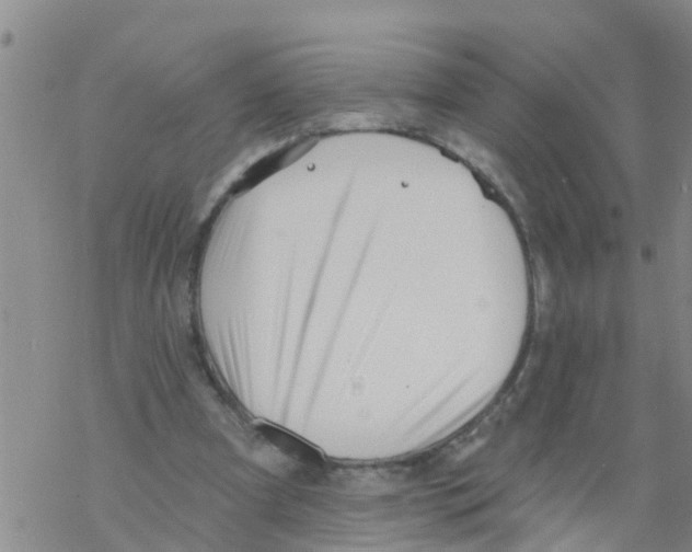 X0000068770297200605262213