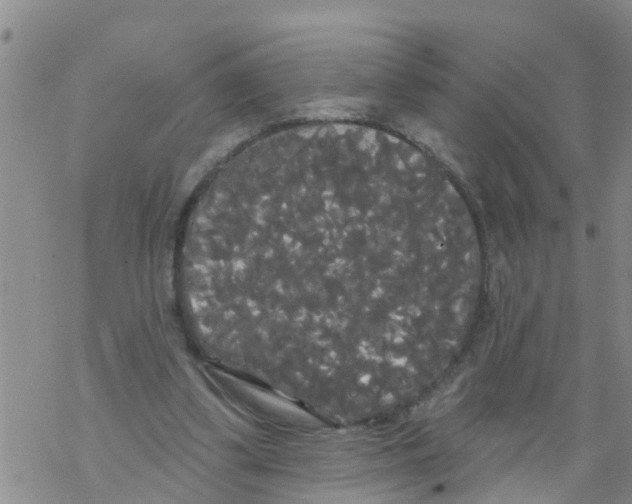 X0000068770299200605262213