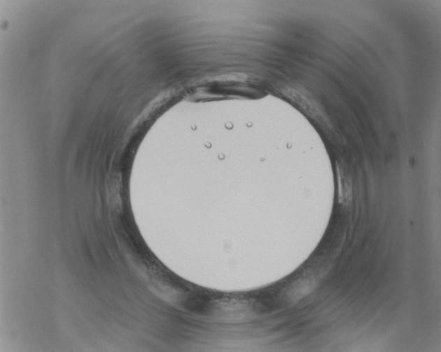 X0000068770300200605262213