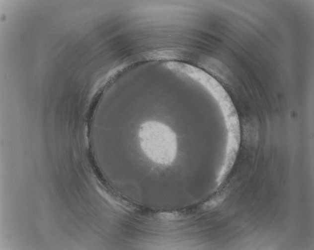 X0000068770302200605262213