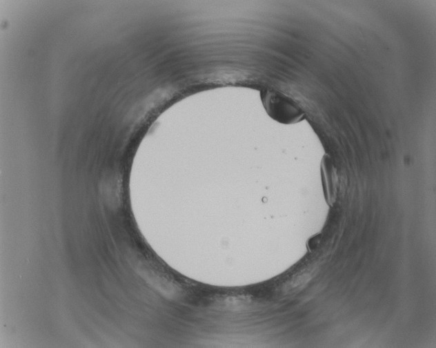 X0000068770304200605262213