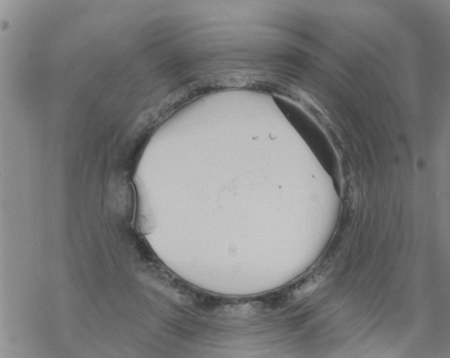 X0000068770307200605262213