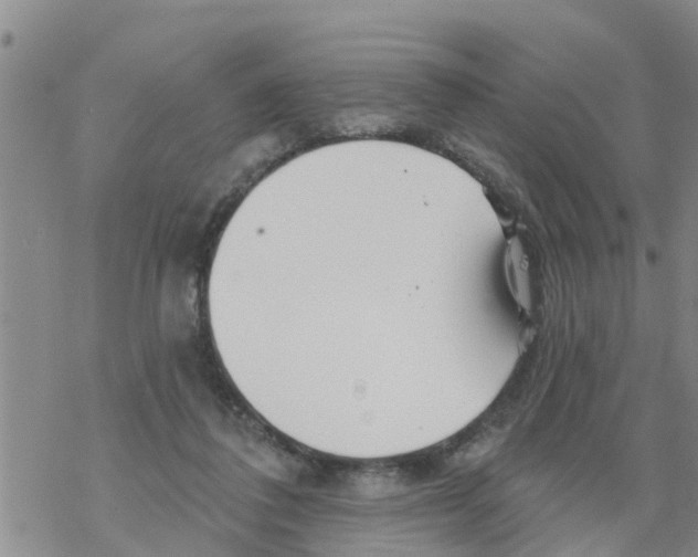 X0000068770308200605262213