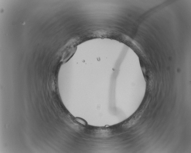 X0000068770313200605262213