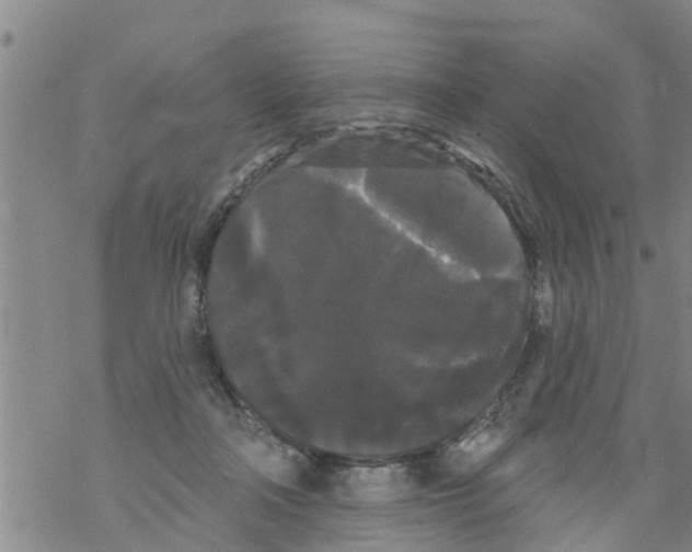 X0000068770314200605262212