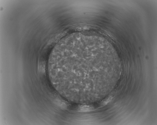 X0000068770315200605262212