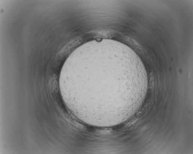 X0000068770318200605262212