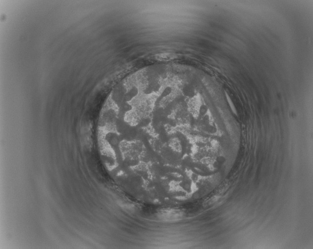 X0000068770319200605262212