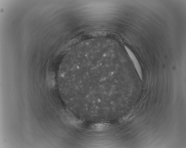 X0000068770323200605262212